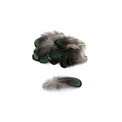 Abbildung von 20 Fasanenfedern 4 8cm Federn Fasan Schmuckfedern Bastelfedern Dekofedern Vogel