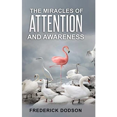 Abbildung von The Miracles of Attention and Awareness