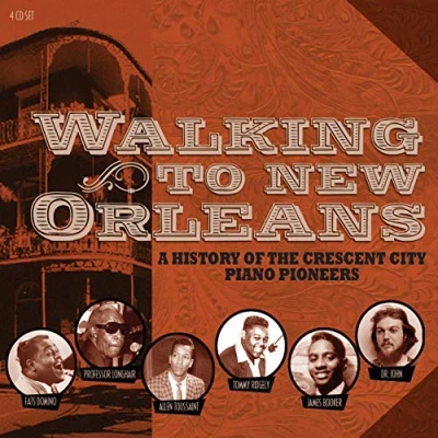 Abbildung von Walking to New Orleans