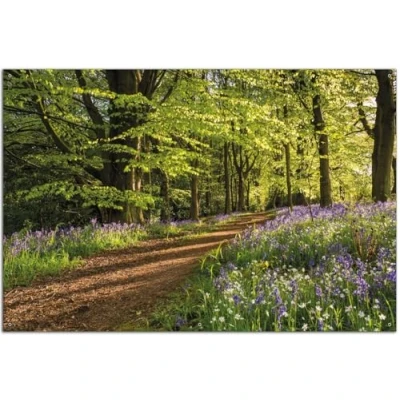 Abbildung von Wallario Outdoor Poster für Garten oder Balkon Blaues Hasenglöckchen im Sommerwald, Motivbanner Größe: ca. 60 x 90 cm, Bild