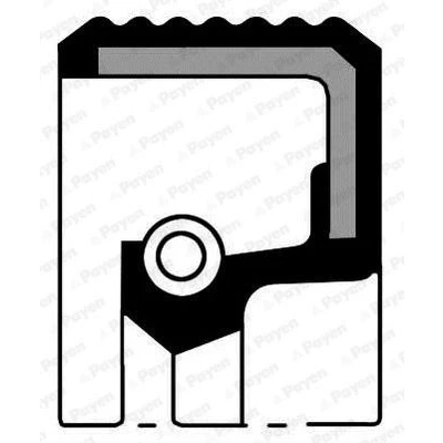 Abbildung von PAYEN NA5449 Wellendichtring, Schaltgetriebe CITROËN: Xsara Picasso, Jumpy I MPV, FIAT: Ducato II Bus, PEUGEOT: 307 Schrägheck
