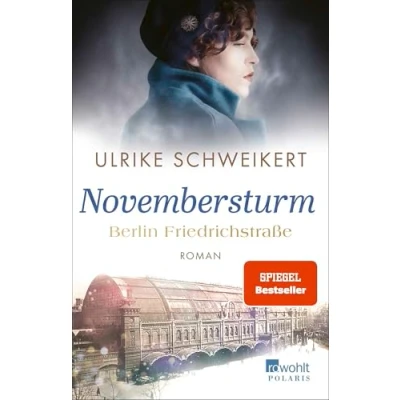 Abbildung von Berlin Friedrichstraße: Novembersturm: Eine historische Familiensaga
