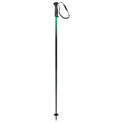 Abbildung von HEAD Unisex Adult Frontside Black Green Skistöcke, Schwarz/Grün, 135