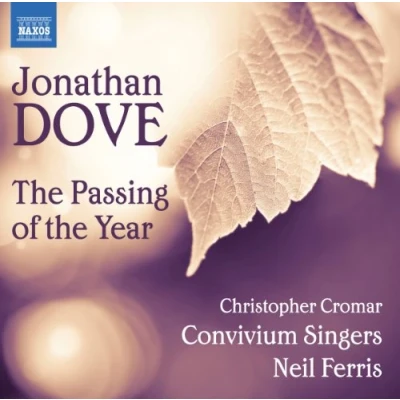 Abbildung von the Passing of Year