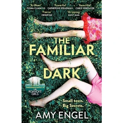 Abbildung von The Familiar Dark: must read, utterly gripping thriller you won&#039;t be able to put down