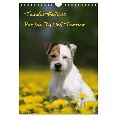 Abbildung von Tender Fellows Parson Russell Terrier (Wandkalender 2025 DIN A4 hoch), CALVENDO Monatskalender