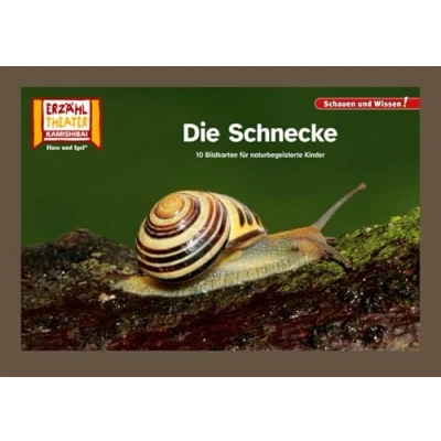 Abbildung von Die Schnecke / Kamishibai Bildkarten: 12 Fotobildkarten für das (Schauen und Wissen!)