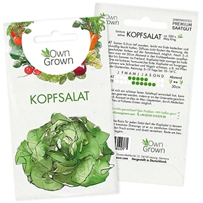 Abbildung von Kopfsalat Samen: Premium Salat Samen zum Anbau von ca. 500 Pflanzen Bestes Saatgut für Hochbeet und Garten Gemüse Anzucht OwnGrown