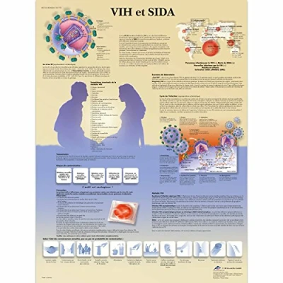 Abbildung von 3B Scientific Board, 1