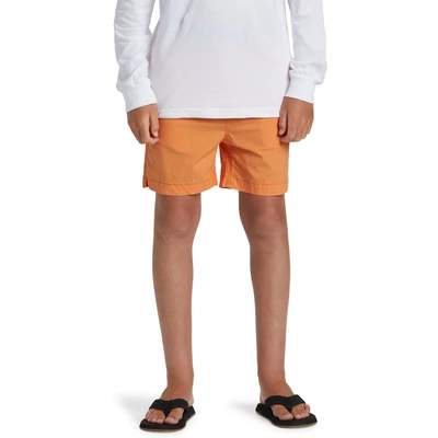 Abbildung von Quiksilver Taxer Youth Shorts für Kinder, Größe: 164, Njf