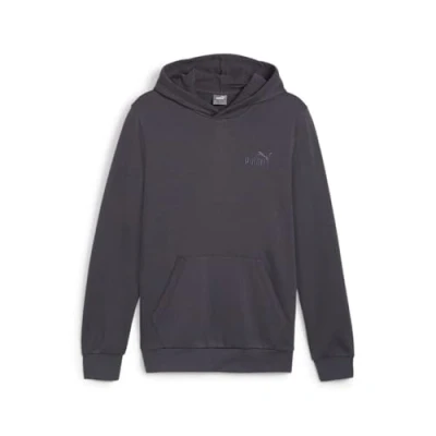 Abbildung von PUMA Herren ESS Elevated Hoodie FL Sweat
