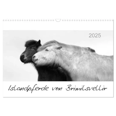 Abbildung von Islandpferde von Brimilsvellir (Wandkalender 2025 DIN A3 quer), CALVENDO Monatskalender