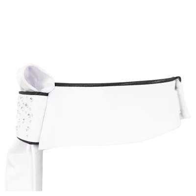 Abbildung von BR Plastron Leon M Schwarz