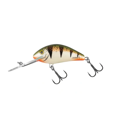 Abbildung von Salmo Hornet 6cm 10g Floating 2,0 5,6m Nordic Perch Wobbler