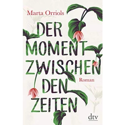Abbildung von Der Moment zwischen den Zeiten: Roman