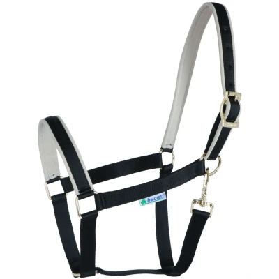 Abbildung von Bucas Halfter Dublin Foal Schwarz/Silber Fohlen