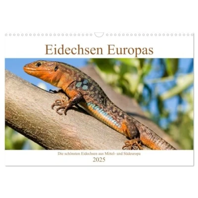 Abbildung von Eidechsen Europas (Wandkalender 2025 DIN A3 quer), CALVENDO Monatskalender