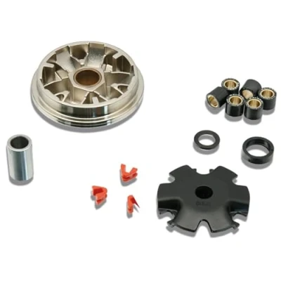 Abbildung von Variator MALOSSI Multivar, für HONDA 50 Dio Clean 4 You/Zoomer/Ruckus, 4T LC 16x13mm, 6 Rollen, 6,0g