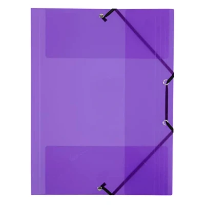 Abbildung von Viquel Hemd 3 Klappen in PROPYGLASS A4 violett