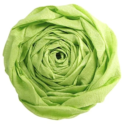 Abbildung von Clairefontaine 903019C Packung mit 10 Bögen Krepppapier, 2,5 x 0,5m, ideal für kreativen Hobbies, 1 Pack, apfelgrün