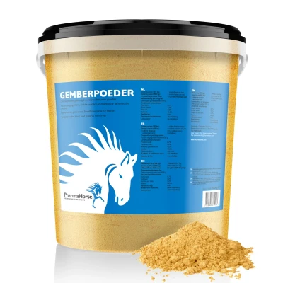 Abbildung von Ingwer Pferd 3000 Gramm