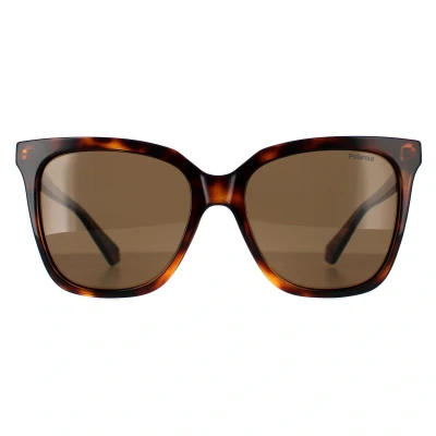 Abbildung von Polaroid PLD4155/S/X 086 Polarisierte Sonnenbrille 55/17/145