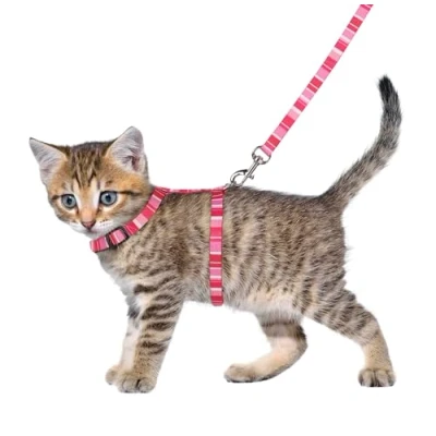 Abbildung von Kätzchen Halsband alfry 15 25 cm 10 mm sortiert Katze Flamingo