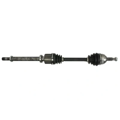 Abbildung von Antriebswelle PASCAL G2R110PC