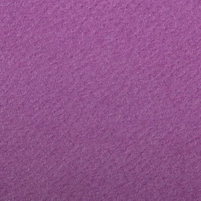 Abbildung von Clairefontaine 90876C Packung (mit 5 Bögen Zeichenpapier Etival Color, DIN A4, 21 x 29,7 cm, 160g, gekörntes Papier, ideal für Trockentechnik und Einrahmen) violett