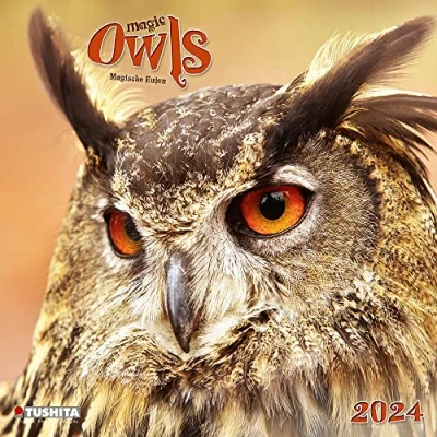 Abbildung von Magic Owls 2024: Kalender 2024 (Wonderful World)
