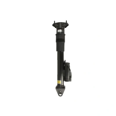 Abbildung von BILSTEIN B4 OE Replacement (Air) 24 167666 Stoßdämpfer Hinterachse Gasdruck Einrohr Dämpfer nicht federtragend oben Stift MERCEDES BENZ: R Klasse