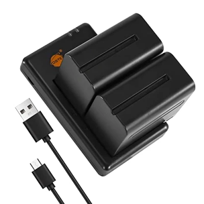 Abbildung von DSTE 2PCS NP F970 F950 F930(7900mAh/7.4V) Batterie Ladegerät Compatible für Sony CCD TR917,CCD TR930,CCD TR940,CCD TR3000,CCD TR3300,PT 176S,CN 160,OE 160,CN 216,JYLED 300S Kamera LED Light