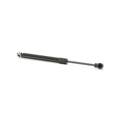 Abbildung von RIDEX 219G0216 Heckklappendämpfer 300 272 beidseitig MERCEDES BENZ: SL Cabrio