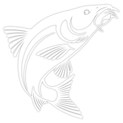 Abbildung von Finest Folia Fisch Aufkleber für Auto Motorrad Boot Schlauchboot Angelbox Sticker Autoaufkleber Angler Fische selbstklebend wetterfest wasserfest K174 (Weiß, Motiv 08)