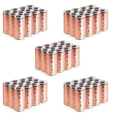 Abbildung von 60 x Bree Syrah Rosè Secco, 11% Vol. 200ml inkl. EINWEGPFAND