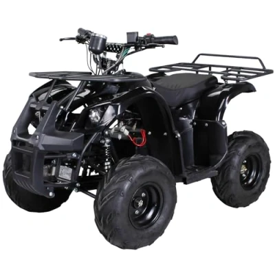 Abbildung von Original Actionbikes Kinder Elektro Quad S 8 Farmer I 𝟭𝟬𝟬𝟬 Watt Elektromotor Miniquad Ausdauernde 4 x 12 Volt 20AH Batterien Drehgasgriff Bis zu 20 km/h (Schwarz)