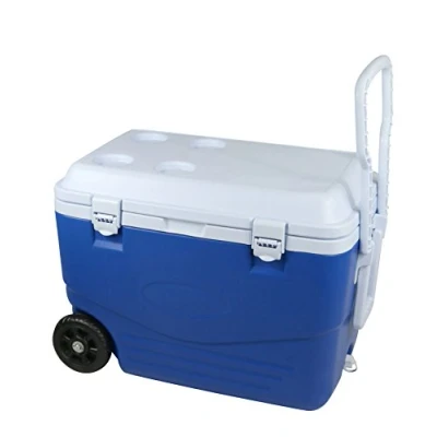 Abbildung von Cao 463 Kühlbox Unisex Erwachsene, Blau/Weiß