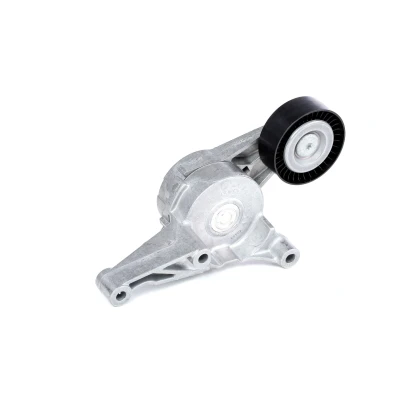 Abbildung von SKF VKM 31054 Spannrolle VOLKSWAGEN: Caddy 3 Kastenwagen, Transporter 5 Golf Schrägheck, AUDI: A3 SKODA: Octavia 2 Combi