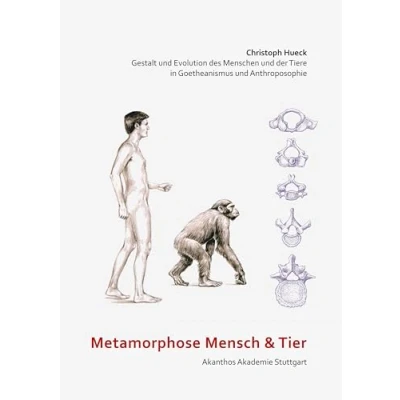 Abbildung von Metamorphose Mensch und Tier: Gestalt Evolution des Menschen der Tiere in Goetheanismus Anthroposophie