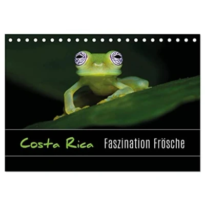 Abbildung von Costa Rica Faszination Frösche (Tischkalender 2025 DIN A5 quer), CALVENDO Monatskalender