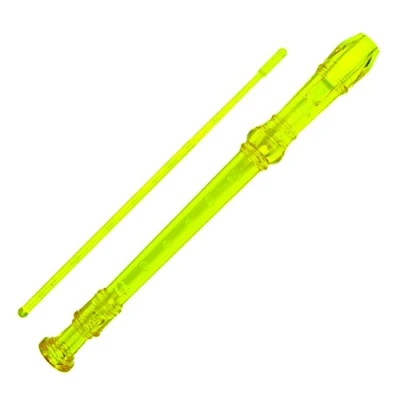 Abbildung von A Star Sopran /Descant Schulblockflöteninstrument, englische/barocke Griffweise Tonart C mit Lerntabelle, Tasche, Putzstock Grün