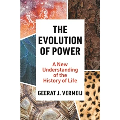 Abbildung von the Evolution of Power: A New Understanding History Life