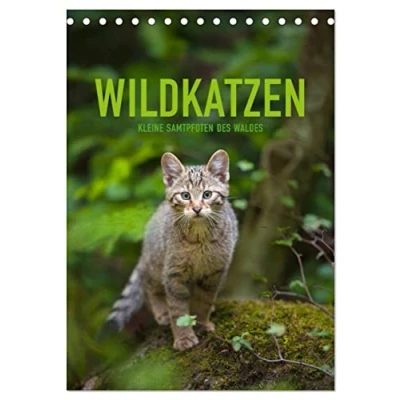 Abbildung von Wildkatzen Kleine Samtpfoten des Waldes (Tischkalender 2025 DIN A5 hoch), CALVENDO Monatskalender