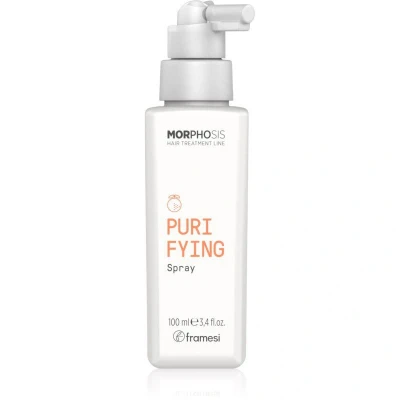 Abbildung von Framesi Morphosis Purifying Spray 100ml