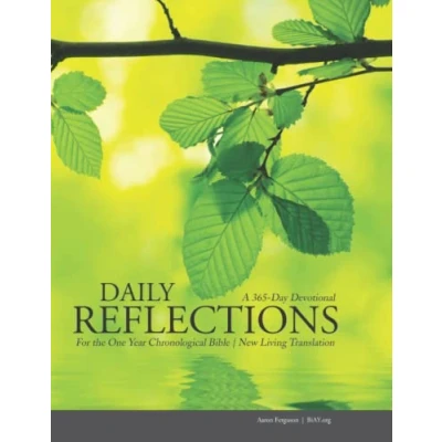 Abbildung von Daily Reflections for the One Year Chronological Bible: Read Bible in a and Enjoy It (Study Guide Bible)