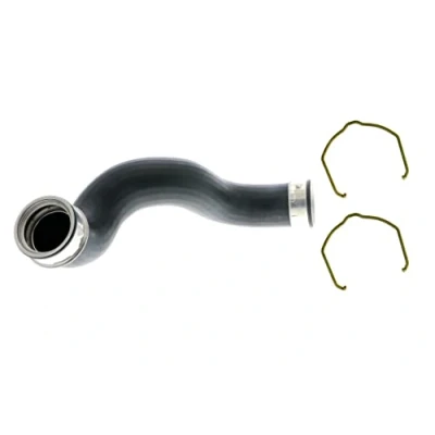 Abbildung von VAICO V10 5301 Ladeluftschlauch Gummi mit Gewebeeinlage Klammer VOLKSWAGEN: Passat B5 GP Variant, Limousine