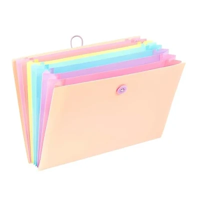 Abbildung von Viquel Fächermappe mit 8 Fächern für A4 Rainbow Pastell Dokumente Beige