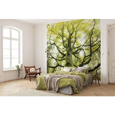 Abbildung von Komar Vliestapete &quot;Der Traumbaum&quot;, 300x280 cm (Breite x Höhe), Wohnzimmer, Schlafzimmer