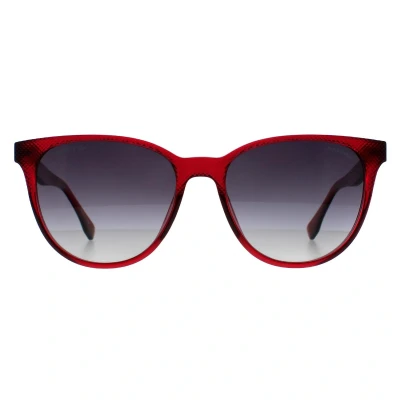 Abbildung von Lacoste Damen L859SP 525 Sonnenbrillen Plastik Fuchsie Grau Cat Eye Schattiert