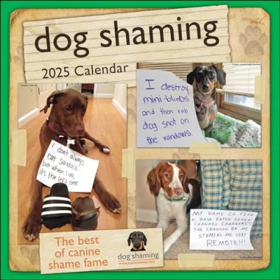 Abbildung von Dog Shaming 2025 Wall Calendar